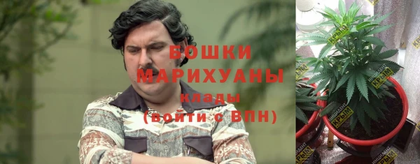 spice Арсеньев