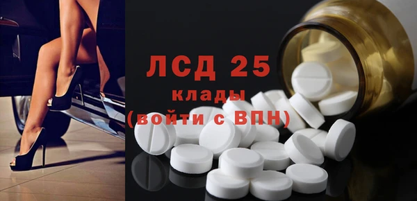 ГАЛЛЮЦИНОГЕННЫЕ ГРИБЫ Аркадак