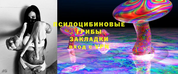 ГАЛЛЮЦИНОГЕННЫЕ ГРИБЫ Аркадак