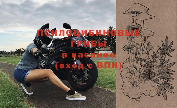 ГАЛЛЮЦИНОГЕННЫЕ ГРИБЫ Аркадак