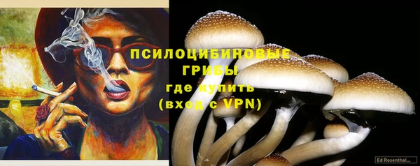 spice Арсеньев