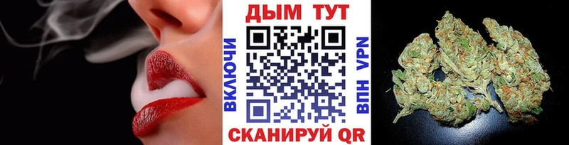 Канабис ГИДРОПОН Суворов