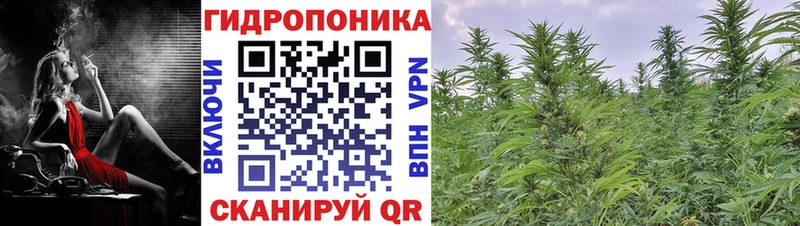 Марихуана SATIVA & INDICA  продажа наркотиков  Суворов 